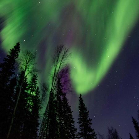 Riverside Log Cabin On-Site Aurora Viewing! North Pole Exteriér fotografie
