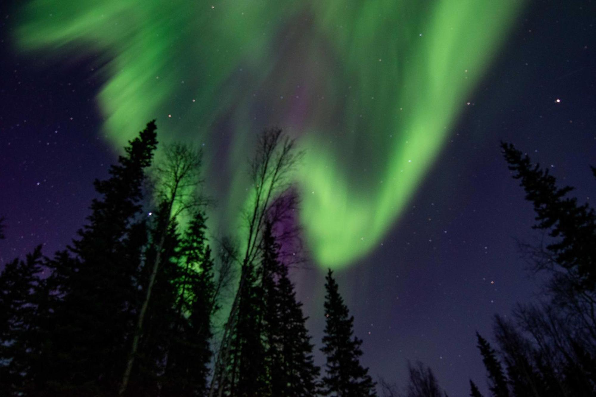 Riverside Log Cabin On-Site Aurora Viewing! North Pole Exteriér fotografie